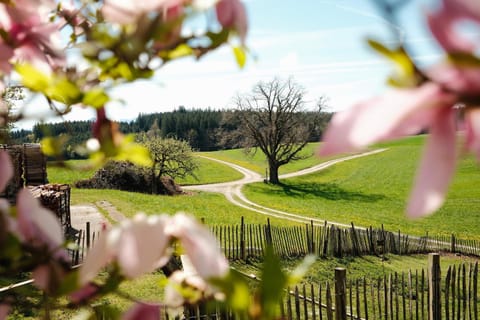Spring, Natural landscape, Garden, Garden, Garden view