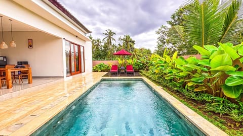 Spring, Day, Natural landscape, Garden, Garden view, Pool view, Swimming pool, sunbed