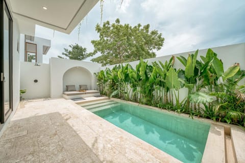 Garden view, Pool view, Swimming pool, Swimming pool, sunbed