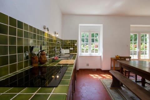 Kitchen or kitchenette, Dining area, pet friendly, stove