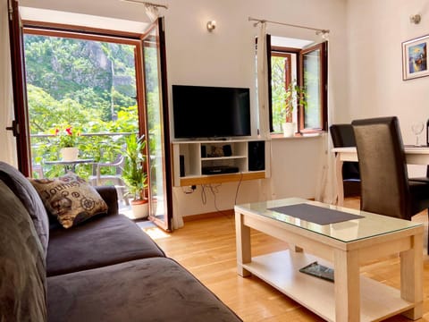 Communal lounge/ TV room, TV and multimedia, Living room