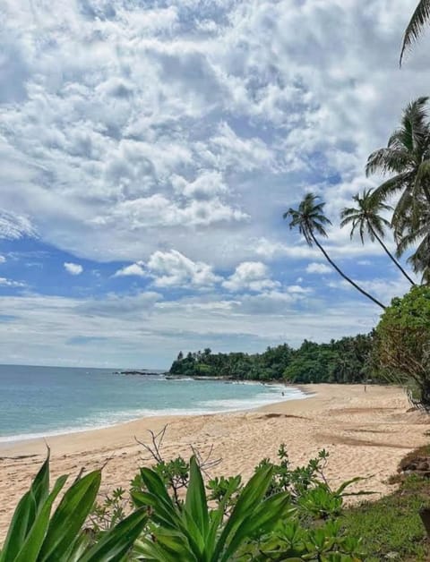 Nearby landmark, Beach
