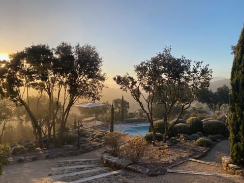 Natural landscape, Garden, Garden view