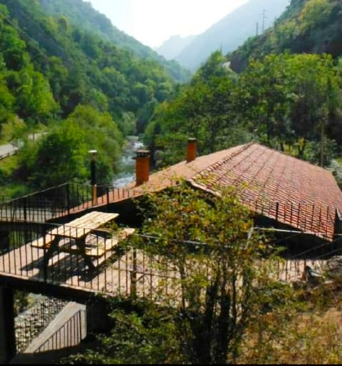 Natural landscape, River view