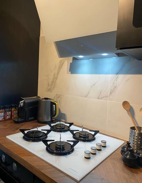 Grand appartement deux chambres Apartment in Brussels