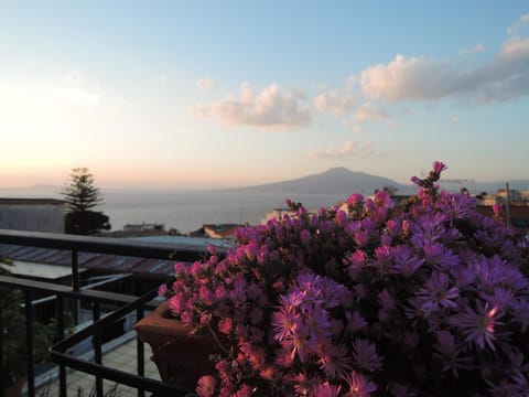 Balcony/Terrace, Landmark view, Mountain view, Sea view