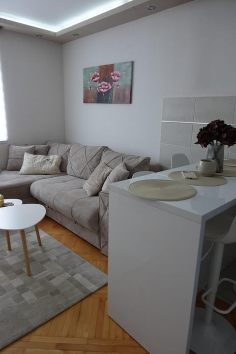 Stan u centru Niša, Obilićev venac Apartment in Serbia
