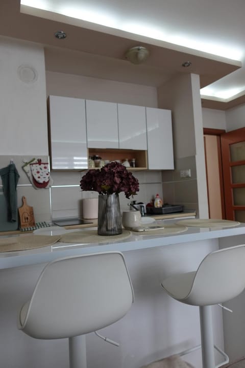 Stan u centru Niša, Obilićev venac Apartment in Serbia