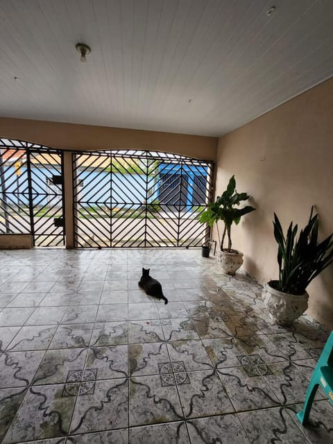 Bird's eye view, Pets