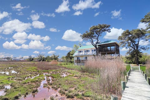 Heron's Cove on Salt Meadow - Pet friendly, waterfront home! House in Chincoteague Island