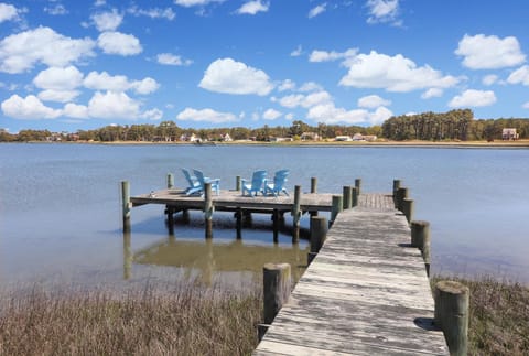 Heron's Cove on Salt Meadow - Pet friendly, waterfront home! House in Chincoteague Island