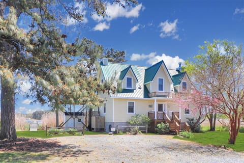 Heron's Cove on Salt Meadow - Pet friendly, waterfront home! House in Chincoteague Island