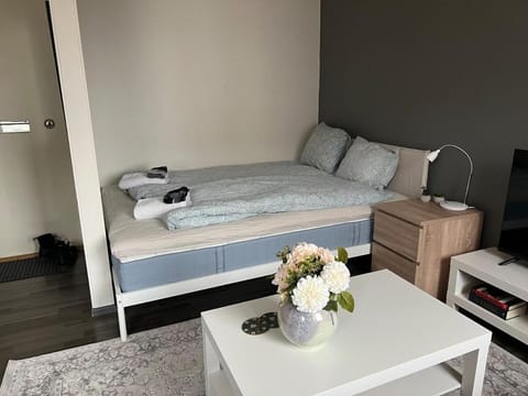 Kaarlelankatu Studio Apartment in Finland