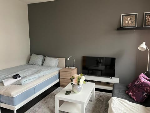 Kaarlelankatu Studio Apartment in Finland