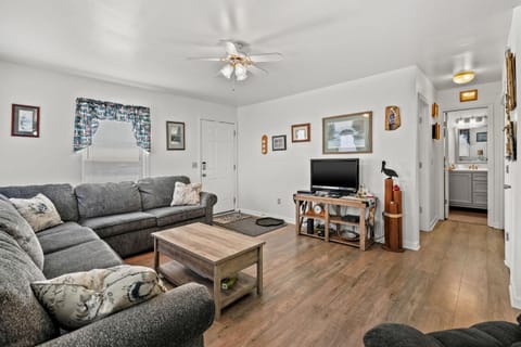 Lighthouse View - Water views & shared pool! House in Chincoteague Island