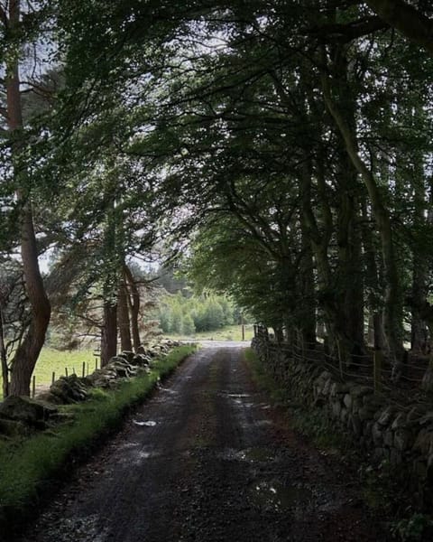 Old school - Charming Historic Cottage for Seven House in Scotland