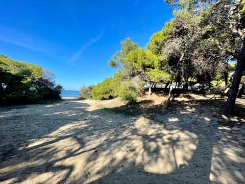 Spring, Day, Natural landscape, Beach