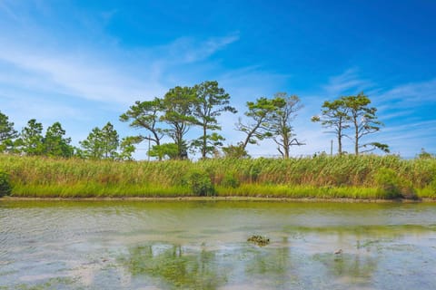 Marsh Point - Screened Porch & Shared Dock! House in Chincoteague Island