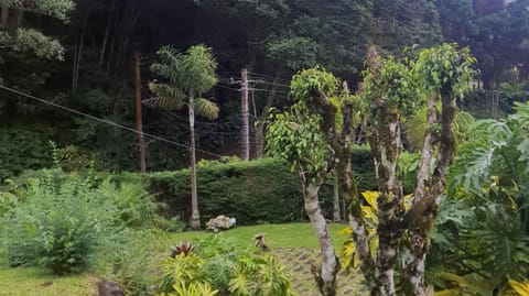 Chalé Schueler House in Nova Friburgo