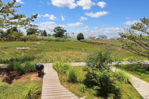 Misty's Thicket - Water access; Screened porches! House in Chincoteague Island