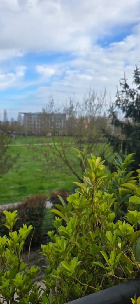 Stromboli Apartment Apartment in Ravenna