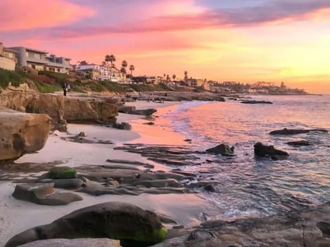 Ocean Escape 1BR Walk to Windansea Beach House in La Jolla
