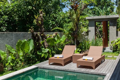 Natural landscape, Swimming pool, sunbed