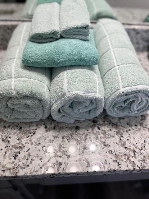 Cozy Arlington Villa near AT&T Stadium Villa in Arlington