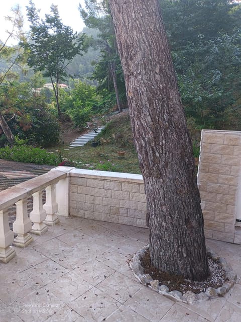 Day, Natural landscape, Garden, Garden view