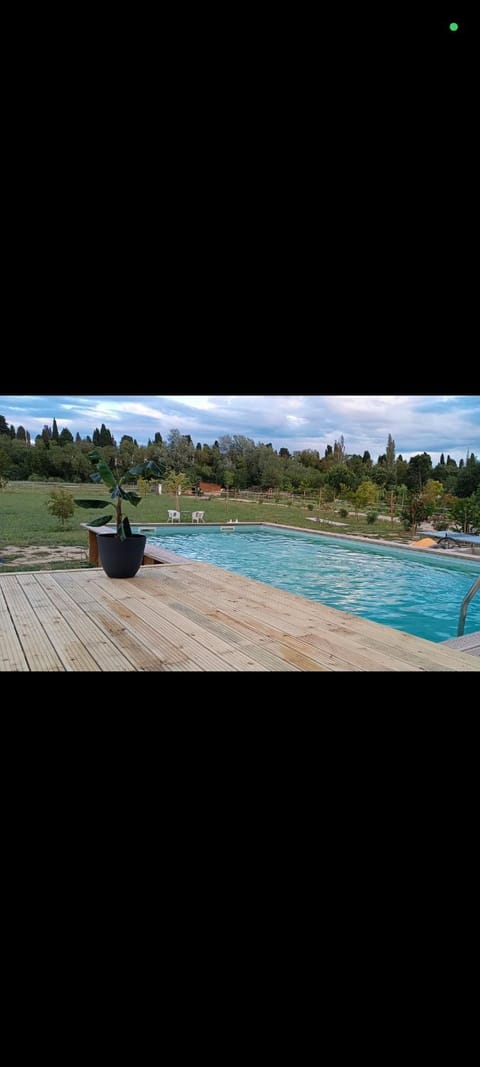 Garden, Swimming pool