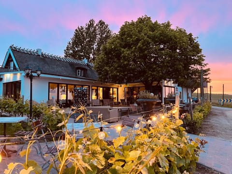 Property building, Garden, Sunset