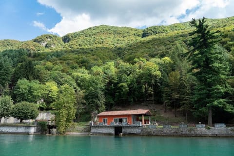 Rustic Private Cottage front Lake with BOAT Villa in Lugano