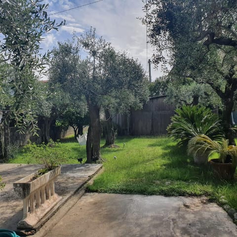 La Casa Del Giardino Degli Olivi House in Forte dei Marmi