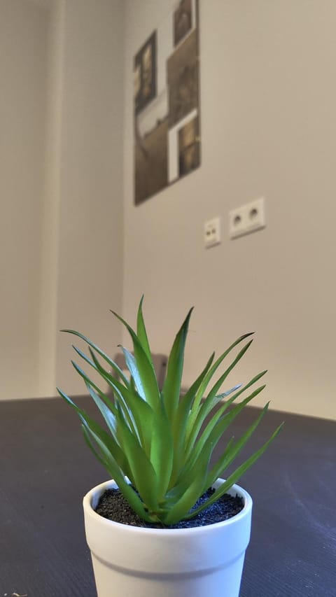 Apartment for 2 guests Apartment in Schleswig-Holstein