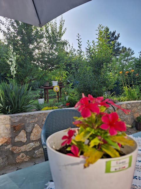 Spring, Day, Garden, Garden view