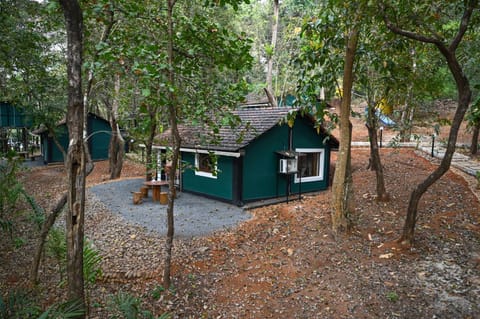 Property building, Natural landscape, Garden, Garden view