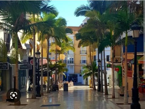 The Salamadras Apartment in Benalmadena