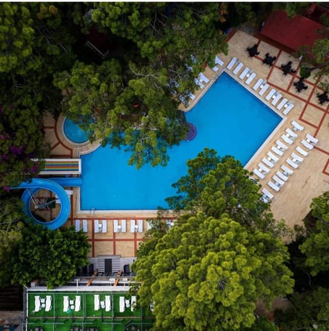 Bird's eye view, Swimming pool, Swimming pool