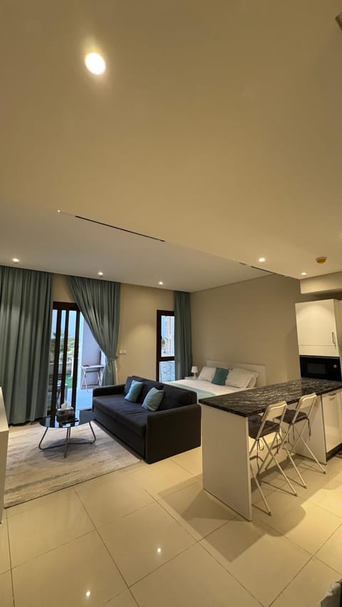 Bed, TV and multimedia, Kitchen or kitchenette, Living room, Photo of the whole room, Seating area, Bedroom