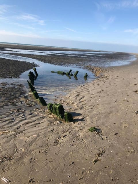 Algues 2 Apartment in Quend