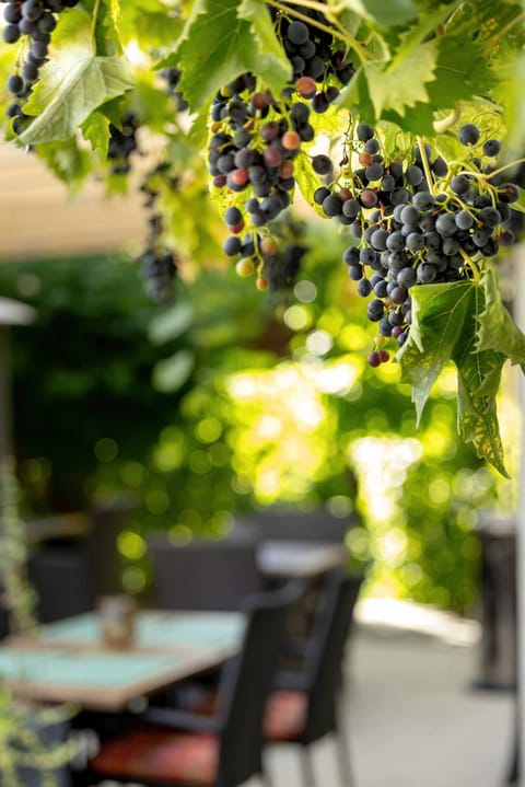 Narcyz Vacation rental in West Pomeranian Voivodeship, Poland