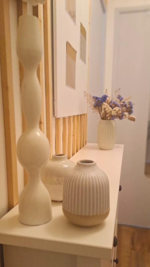 Le Cocon-proche Rennes Apartment in Brittany