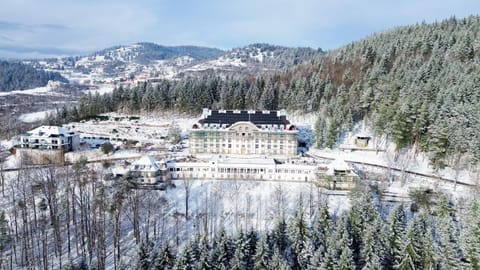 Domaine de Haslach, The Originals Collection, Résidence de Tourisme Resort in Vosges