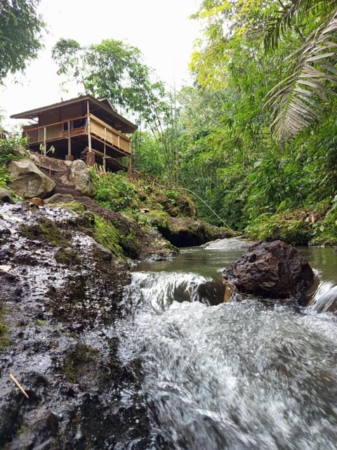 Property building, Day, Natural landscape, Fishing, River view