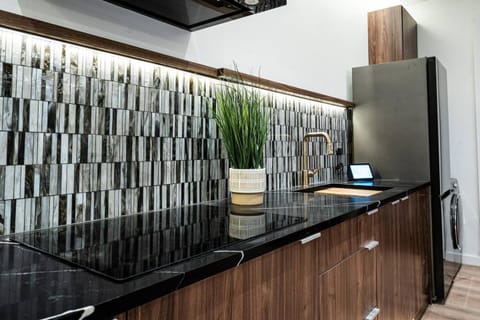 Large Modern Loft in Central Location Apartment in Kirkland