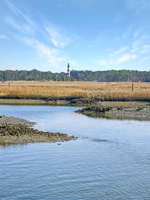 The Haven - Waterfront with private dock! House in Chincoteague Island