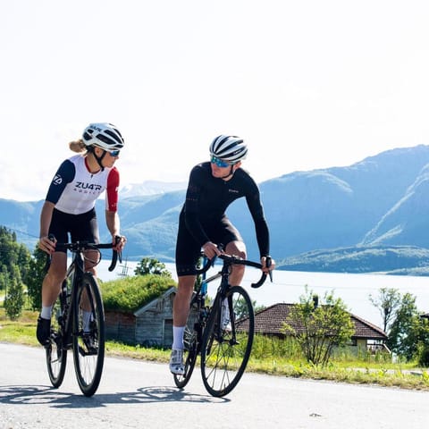 Villa Gratangen Villa in Nordland, Norway