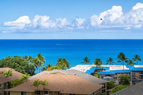 Kailua Village 2BR with AC, Pool and Parking, Walk to Oceanfront Apartment in Holualoa