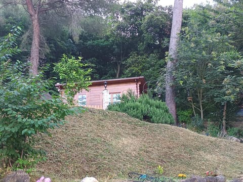 Property building, Natural landscape, Garden, Garden view