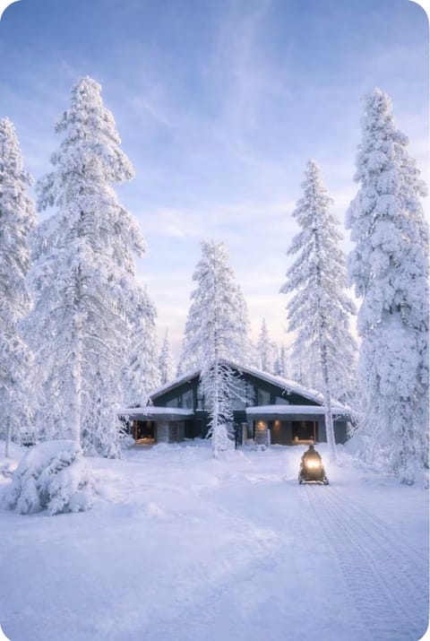 Day, Natural landscape, Winter